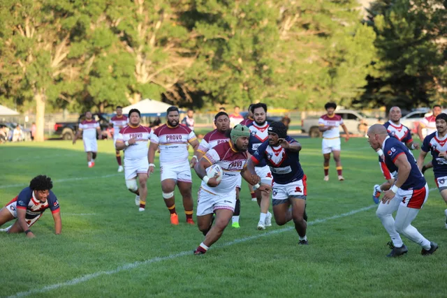 Broncos photo 6
